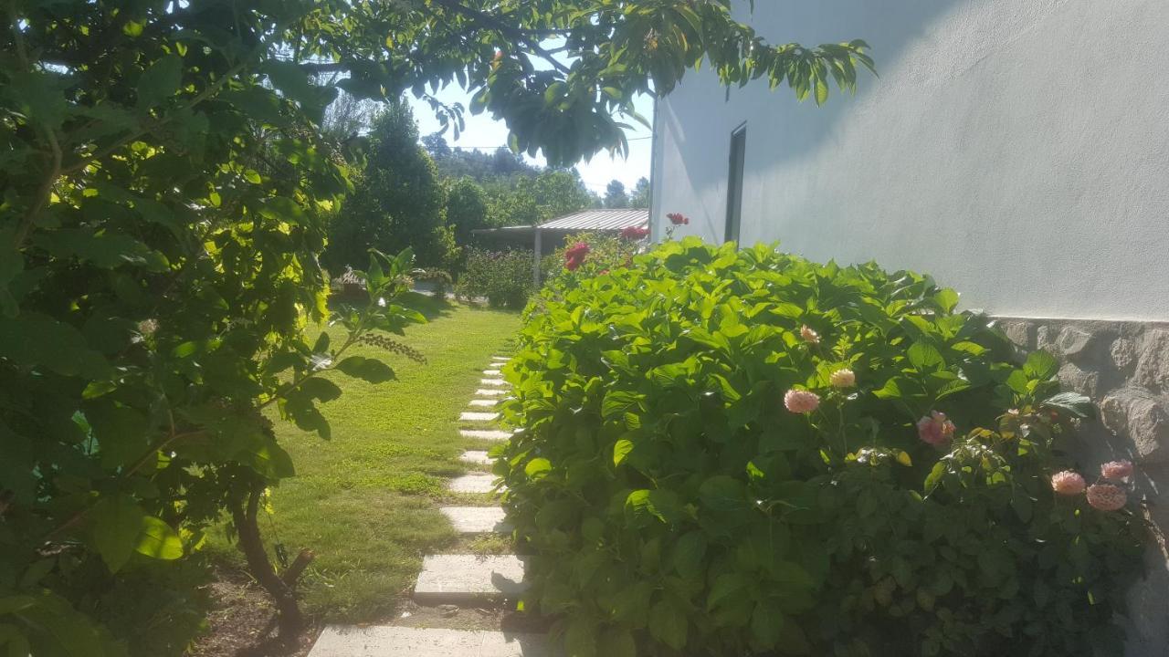 Quinta Do Serrado De Belmonte Belmonte  Kültér fotó