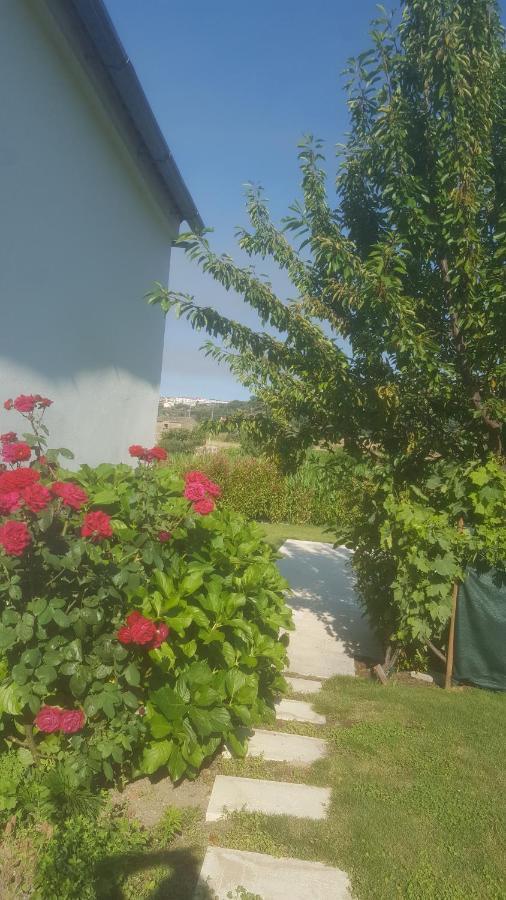Quinta Do Serrado De Belmonte Belmonte  Kültér fotó