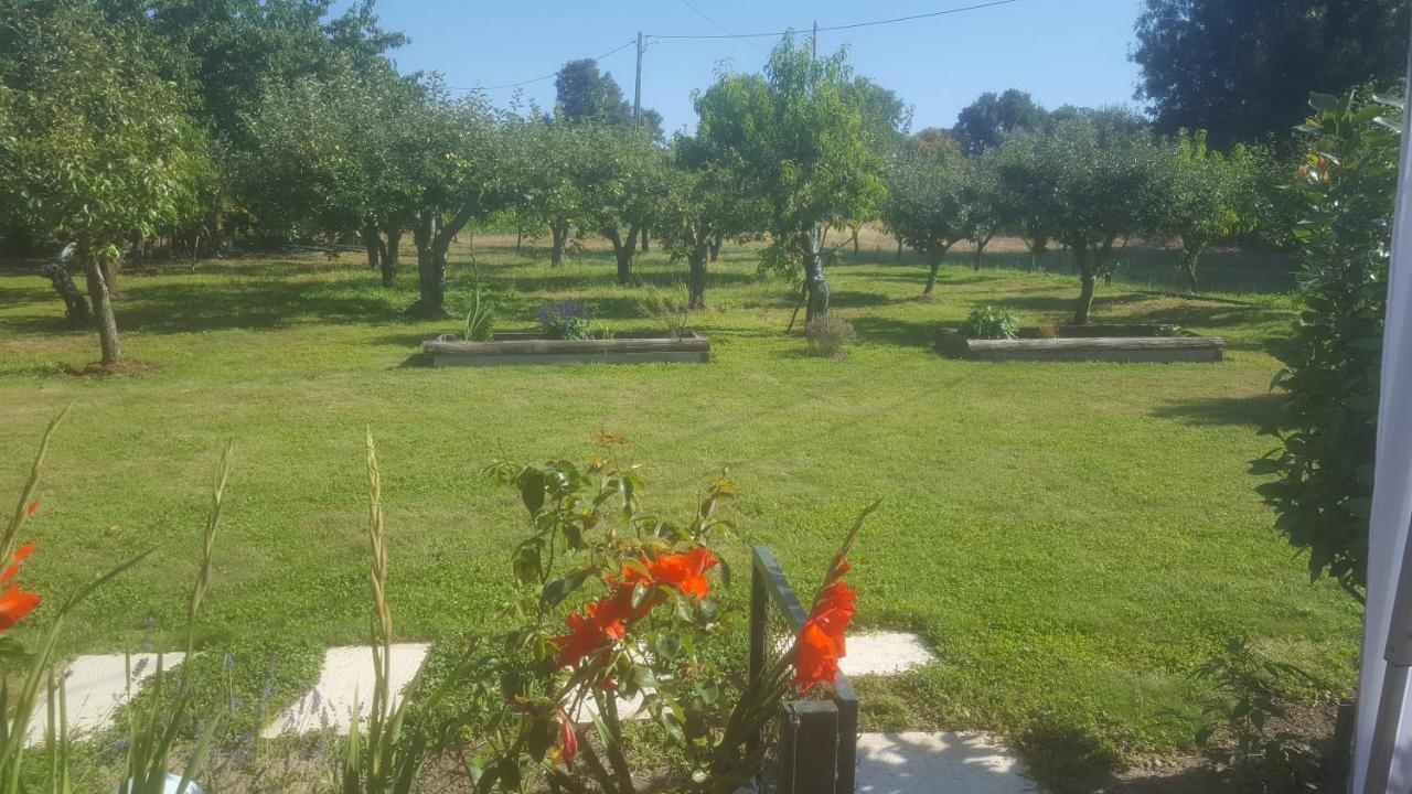 Quinta Do Serrado De Belmonte Belmonte  Kültér fotó