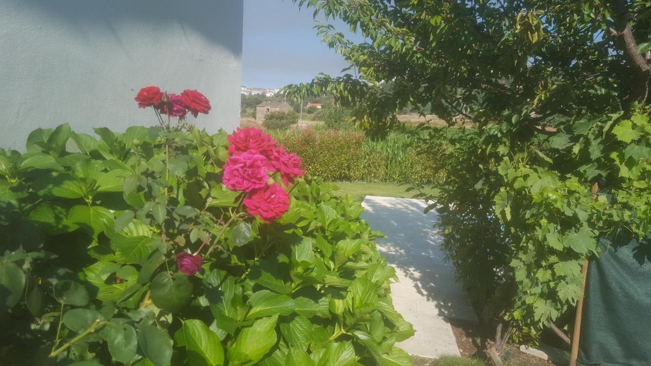 Quinta Do Serrado De Belmonte Belmonte  Kültér fotó