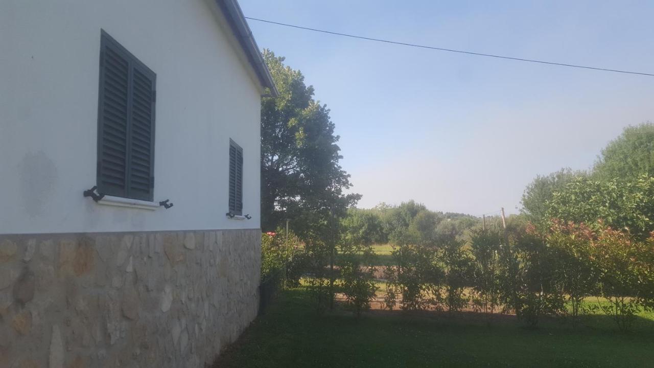 Quinta Do Serrado De Belmonte Belmonte  Kültér fotó