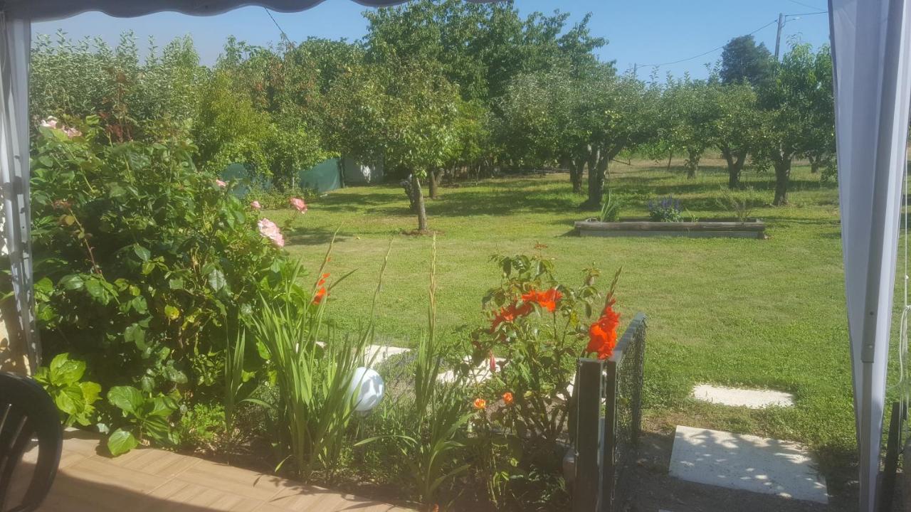 Quinta Do Serrado De Belmonte Belmonte  Kültér fotó