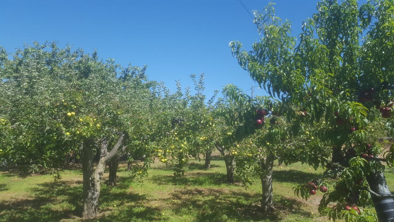 Quinta Do Serrado De Belmonte Belmonte  Kültér fotó