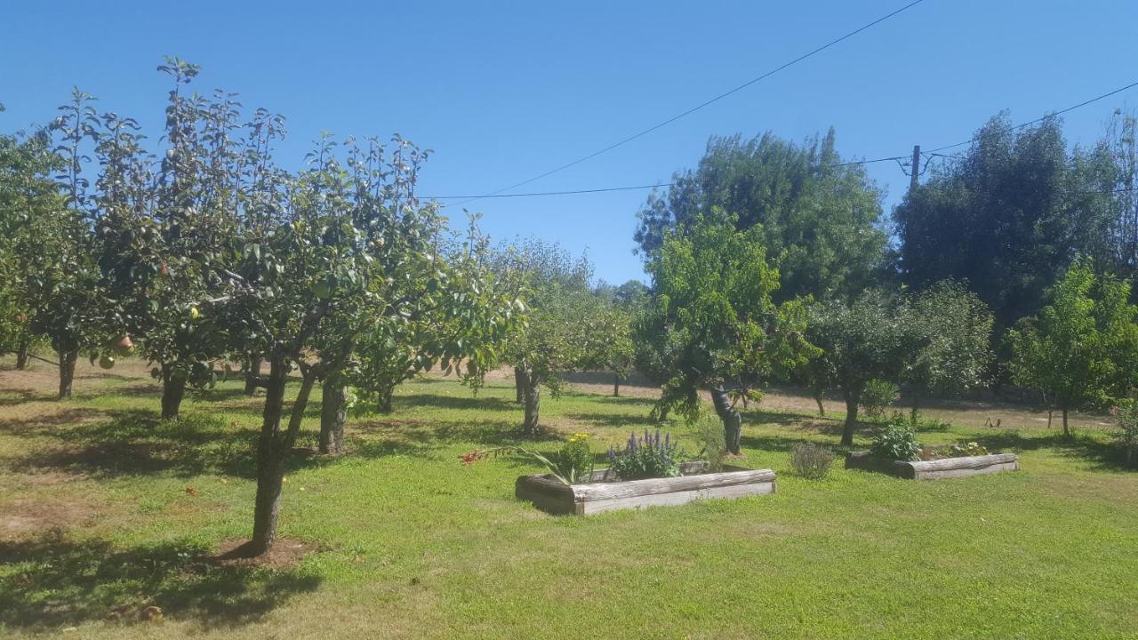 Quinta Do Serrado De Belmonte Belmonte  Kültér fotó
