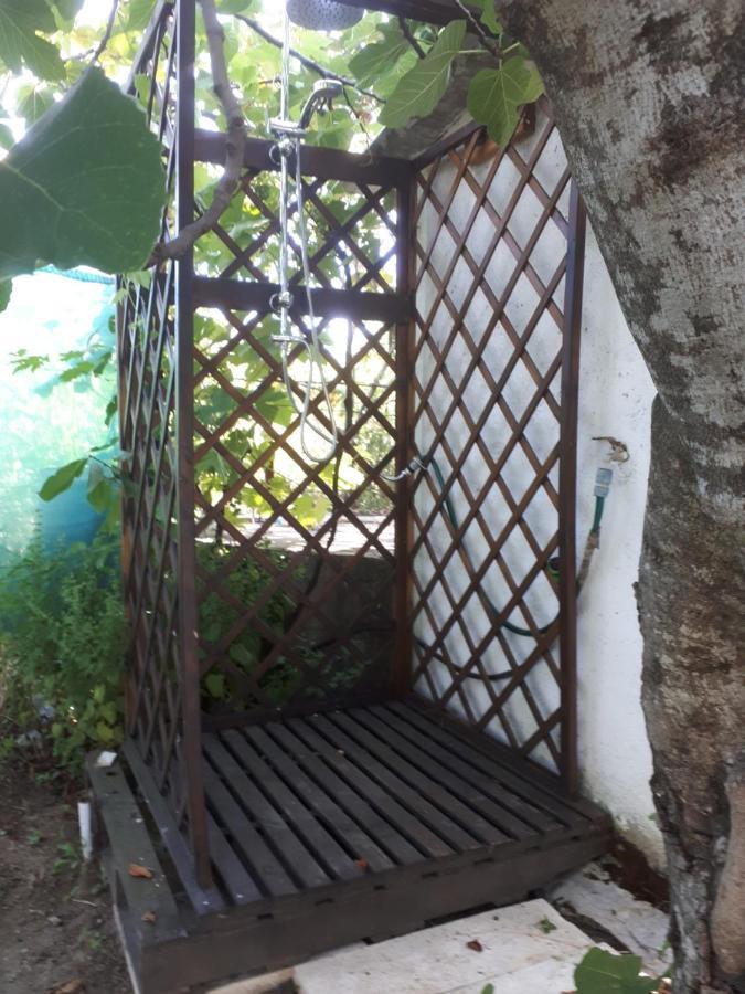 Quinta Do Serrado De Belmonte Belmonte  Kültér fotó