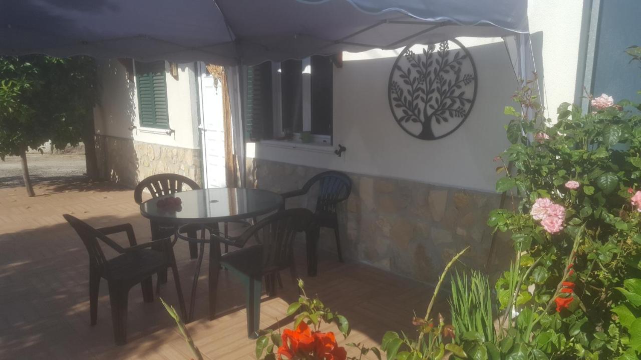 Quinta Do Serrado De Belmonte Belmonte  Kültér fotó